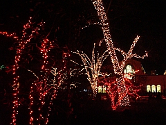 033 Toledo Zoo Light Show [2008 Dec 27]
